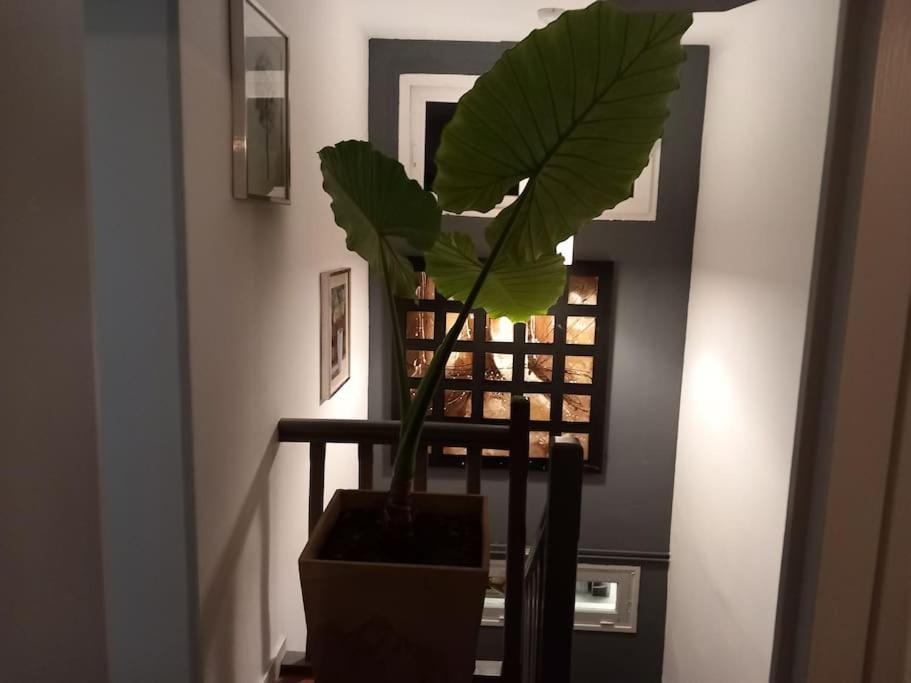 Maison Cosy - 4 Chambres Doubles Bergerac Kültér fotó
